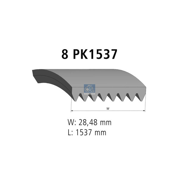 Multiribbed belt 2.15381 DIESEL TECHNIC